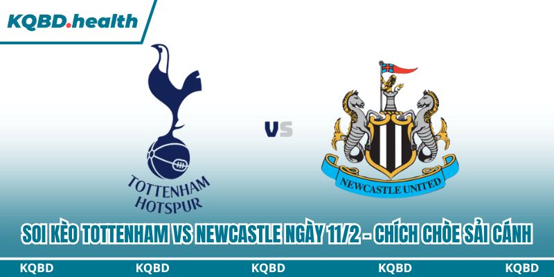 Dự đoán Tottenham Vs Newcastle Ngày 11/2 - Chích Chòe Sải Cánh 1 Soi kèo Tottenham vs Newcastle