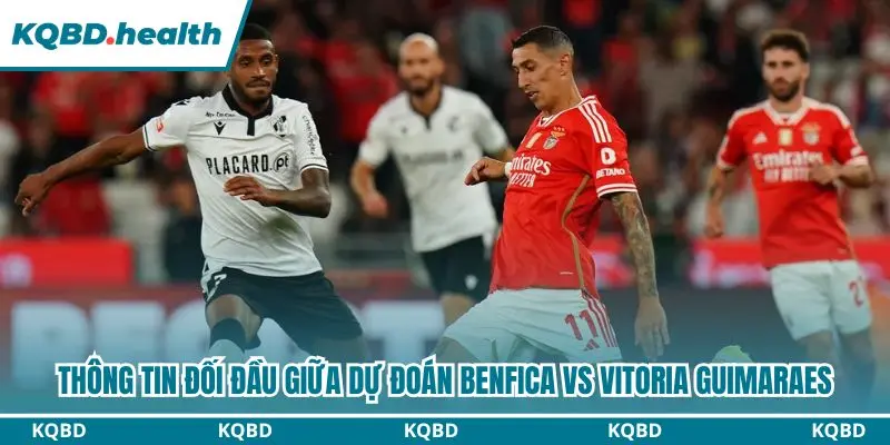 Thống kê chi tiết đối đầu giữa Benfica và Vitoria Guimaraes 