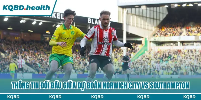 Chi tiết đối đầu gần đây giữa Norwich City và Southampton